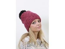 2026����� 282���.