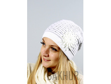 2041����� 282���.	