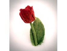 ����� \"�������\"