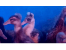 ����������� 010.jpg