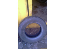 IMAG1046.jpg