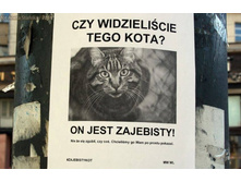 ��� ����� ���... �������� ;-)