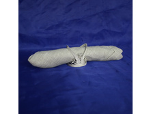 �-601 ���������� ������-Big.JPG