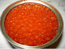 ������������� ����� �����