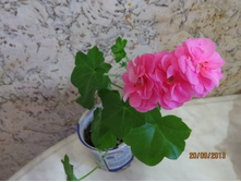 ������������ ����������, ������ ��������