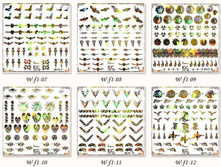 ������� ����������