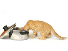 �� ������ �� ��������, ���� �������!