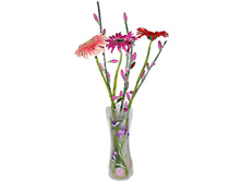 ������� ALFE048 - 21,7 ���/��