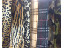 �������� �����1