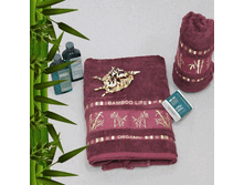 Bamboo 50-90 BOR 161,76+%.gif