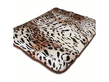 ZHG F531BR 1520 X Light ����� ���������.gif