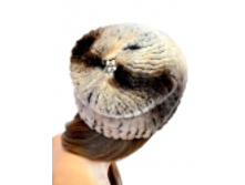 ����� ��������� �����.jpg