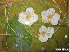 ��� ��� ��