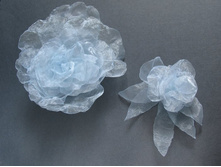 �������� �������� ����