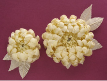 ����������, ������ ��������