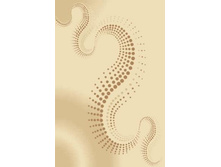 2989-53233  Avangard ������ 100%