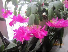 ��������� ������� 