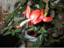 ��������� �������