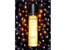 ������������ ����� ��� ����, ���� � ����� 100 �� (Caudalie, Teint Divin)  ���������, ������ � ��������������  21,9 .
