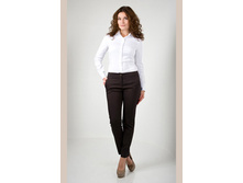 �����-1100�.