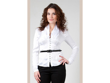 �����-1100�.