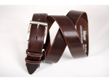 ML-31_250 ���.JPG