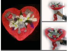 ����� Teddy �� ������