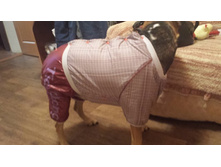 20131123_175733.jpg