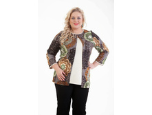 ������ ��������