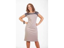 ������ ������