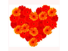 ������ �� ������