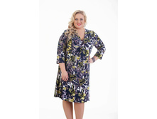 ������ �������� 