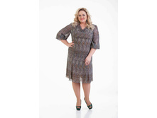 ������ ���������  ����� ������