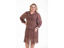 ������ ��������� ��������� ������ 