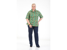 ����� ������ ����� 