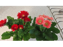 ������� - ��  200 ���.  ������ ��������� ������...