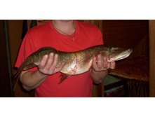 �������� 23.11.2013_1.jpg