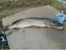 �������� 23.11.2013_3.JPG