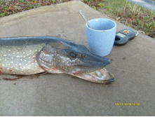 �������� 23.11.2013_5.JPG