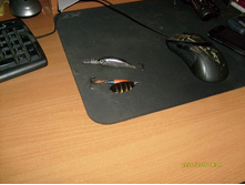 �������� 23.11.2013_7.JPG