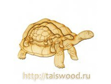 golovolomka_bolshemenshe_cherepaxa_.30 �jpg