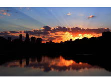 Citys Wallp (44).jpg