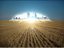 Citys Wallp (60).jpg