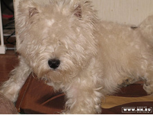 ��� �� ���� ������?..