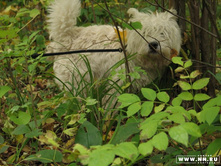 ��� � ������