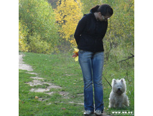 � ������ ����