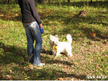 �� ���, ���� �����