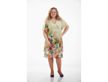 ������ ������