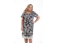 ������ ������ ������ ����� 