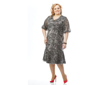 ������ ����